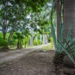 IMG_8615
