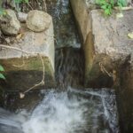 IMG_8632