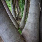IMG_8723