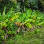 IMG_8727