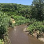 Rancho Gualupita (7)