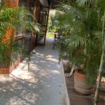 IMG-20250601-WA0024