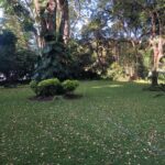 Tlaltenango Juan Rozenweig (1) 3