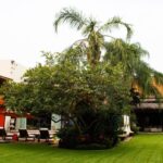 Casa en Kloster Sumiya (21)