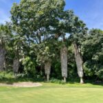 Foto Terreno Santa Fe (4)