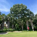 Foto Terreno Santa Fe (6)