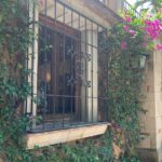 La quinta Toscana (3)