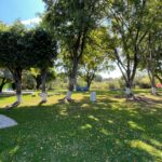 Fotos Balneario (8)