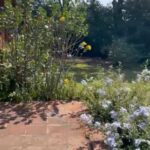 Fotos Casa SantaM (21)