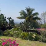 Fotos Casa SantaM (24)