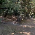 Fotos Casa SantaM (29)