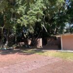 TerrenoExHacienda (4)