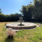 TerrenoExHacienda (5)