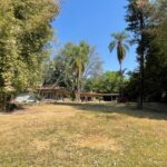 TerrenoExHacienda (8)