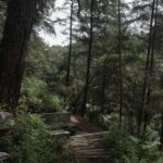 EdoMex (22)